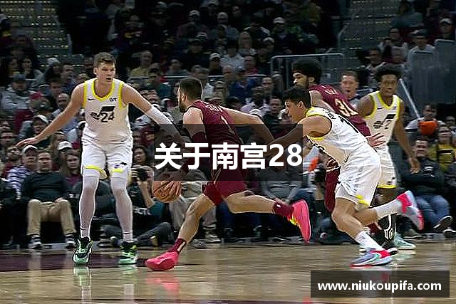 关于南宫28